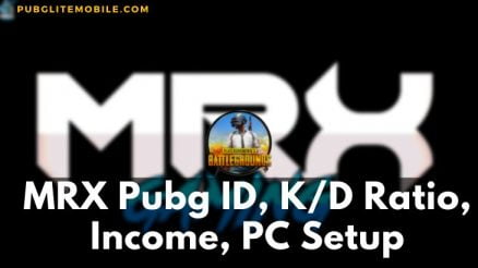 MRX Pubg ID