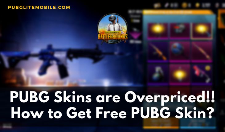 Get Free PUBG Skin