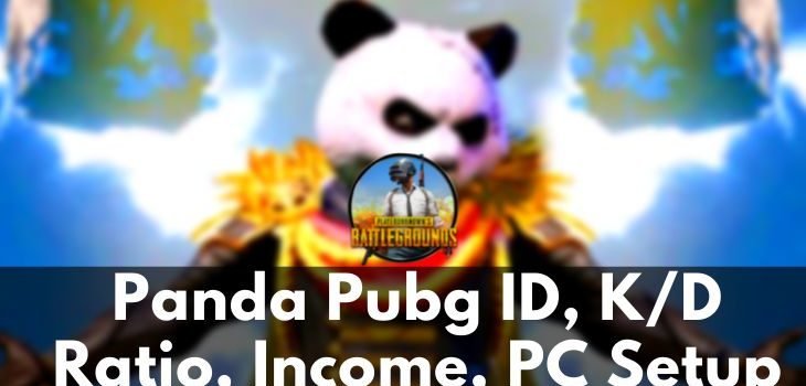 PANDA Pubg ID