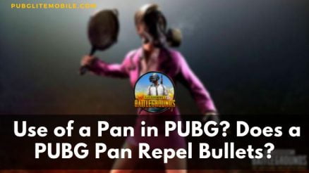 Use of a Pan in PUBG