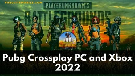 Pubg Crossplay PC and Xbox