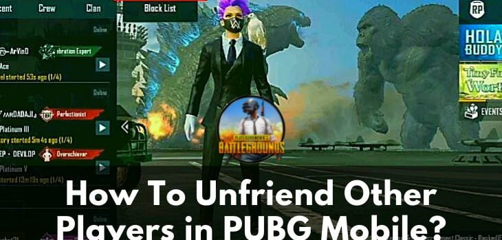 Unfriend Other Players in PUBG Mobile