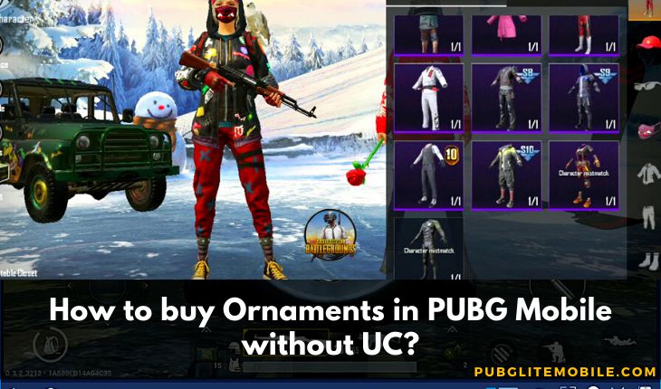 buy Ornaments in PUBG Mobile