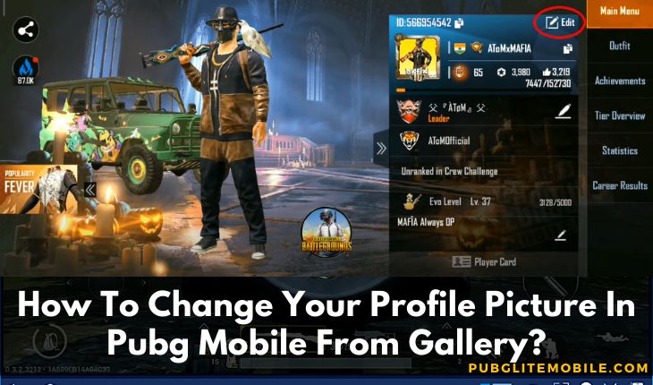 Change Profile Picture In Pubg Mobile
